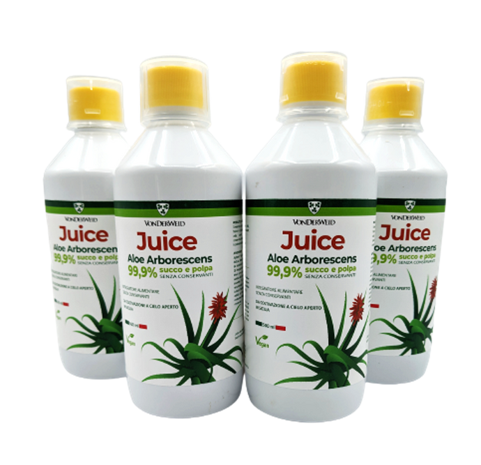 Pur Jus d'Aloe Arborescens Bio - 500ml X 4