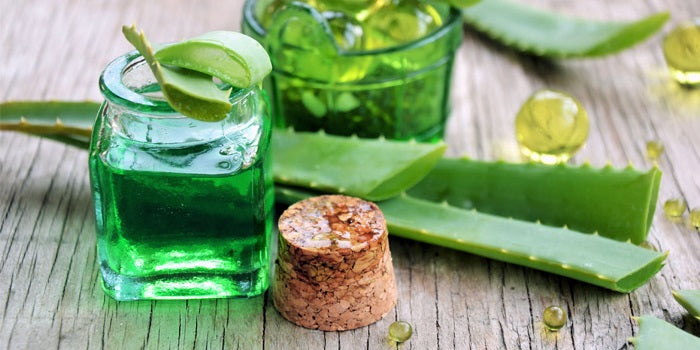 Le dossier de l'Aloe Arborescens : Le pouvoir détoxifiant de l'Aloe