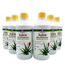 Pur Jus d'Aloe Arborescens - 500ml - X 6