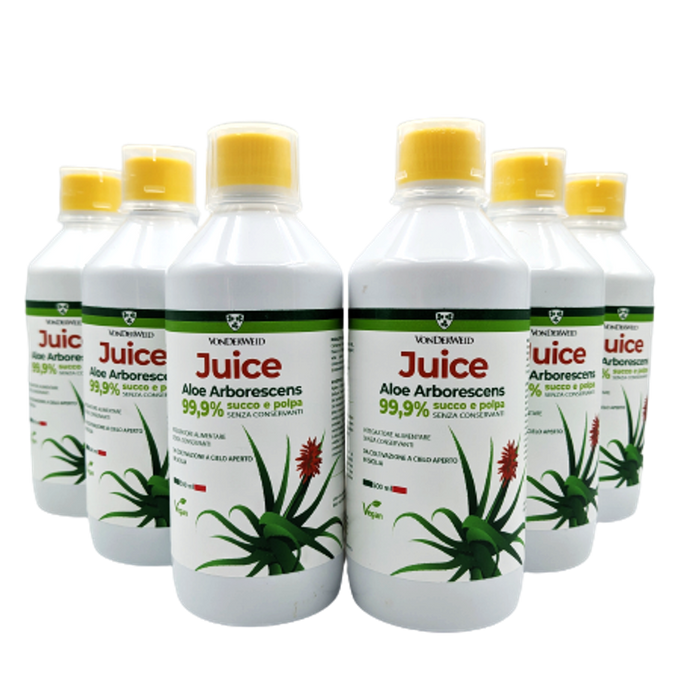 Pur Jus d'Aloe Arborescens - 500ml - X 6